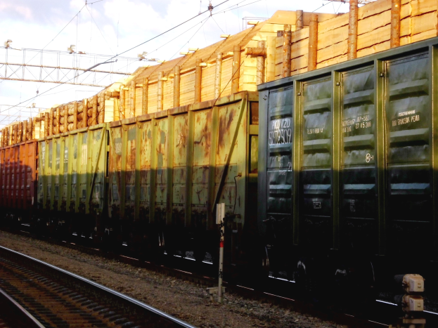 Güterzug mit buntfarbigen Containern auf Gleisen durch einen Wald unter einem klaren blauen Himmel, mit Strommasten und Oberleitungen im Hintergrund.