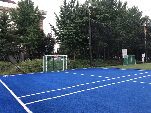 Ein blaues Tennisplatz mit einem Tor in der Mitte, umgeben von grünem Gras, Pflanzen und Bäumen, mit einem Gebäude und einem klaren blauen Himmel im Hintergrund.