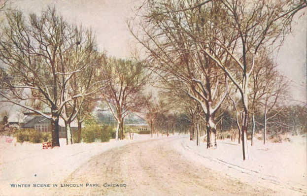 Winterszene im Lincoln Park, Chicago, mit schneebedeckter Erde, Bäumen, Pflanzen, Häusern und einem Himmel im Hintergrund mit Text unten.