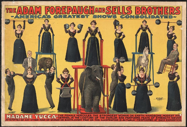 Plakat für das Adam Forepaugh und Sells Brothers Zirkus mit Performern auf Hockern und einem zentralen Elefanten sowie Werbetext.