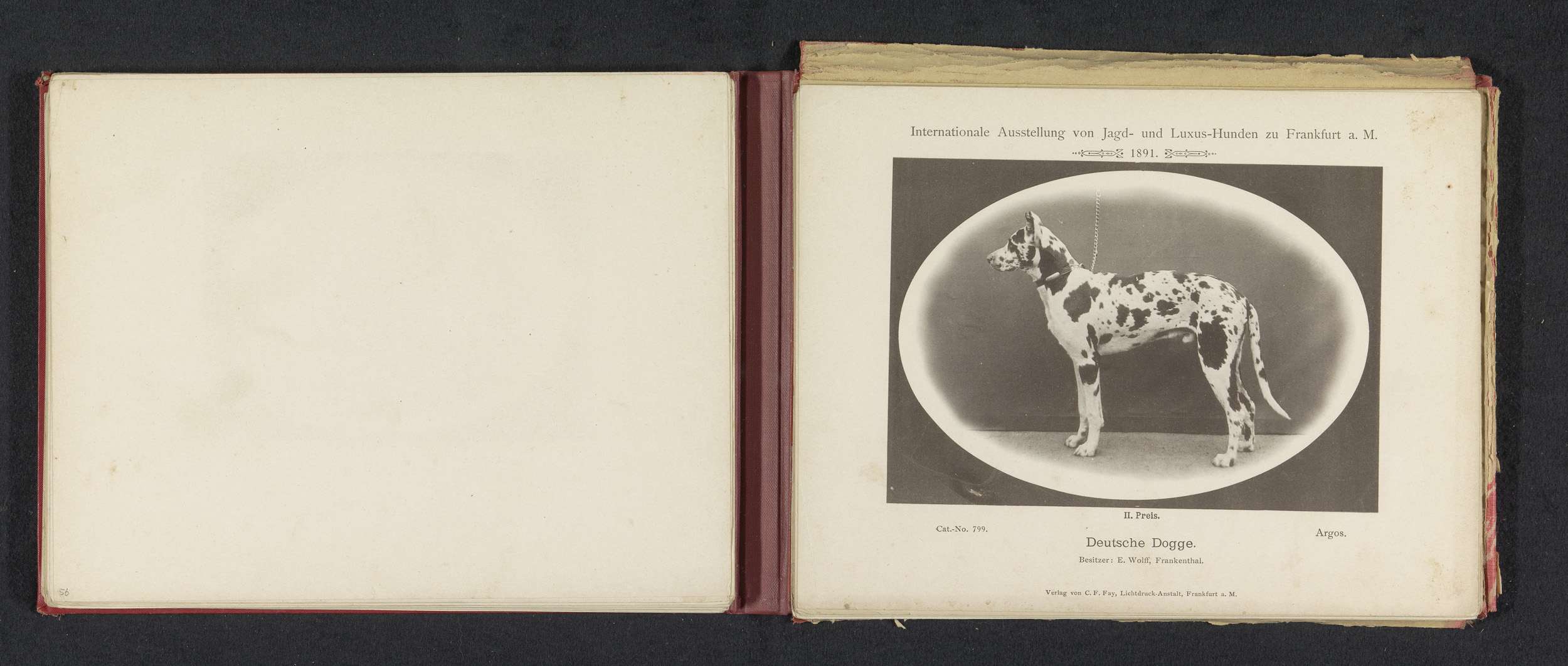 Ein aufgeschlagenes Buch mit dem Titel "Internationale Ausstellung von Jagd- und Luxushunden in Frankfurt a.M." mit einem Schwarz-Weiß-Foto eines Hundes und begleitendem Text.