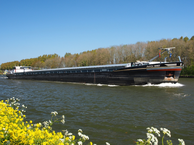 Ein großes Boot fährt einen Fluss mit grünen Bäumen an den Ufern entlang unter einem hellblauen Himmel, mit leuchtend gelben Blumen am unteren Rand des Bildes.