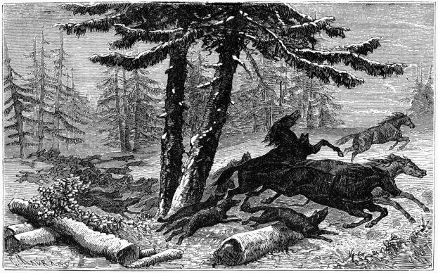 Eine Schwarz-Weiß-Zeichnung einer Gruppe von Pferden, die durch einen Wald mit Bäumen im Hintergrund und Holzstämmen auf dem Boden laufen, mit Text unten.