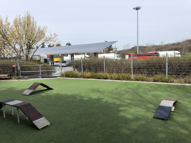Ein eingezäunter Hundepark mit Kunstgras, Rampen und umgebender Vegetation, Fahrzeugen, Schuppen und einer Laterne unter einem sichtbaren Himmel.