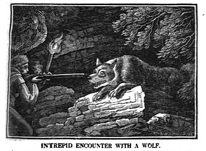 Schwarzes und weißes Bild einer Person mit einer Waffe, die einem Wolf gegenübersteht, mit Text unten.