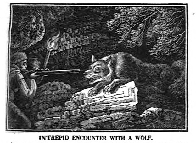 Schwarzes und weißes Bild einer Person mit einer Waffe, die einem Wolf gegenübersteht, mit Text unten.