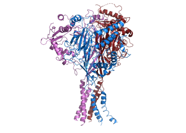 Ein 3D-Modell eines Proteinmoleküls in Blau, Rot und Pink vor einem weißen Hintergrund.