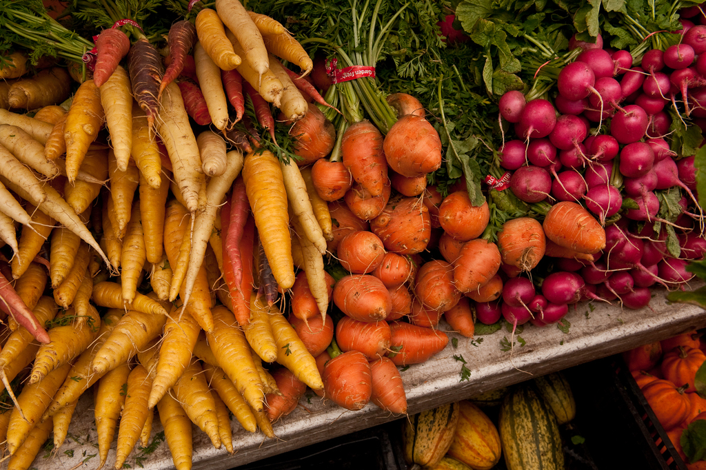 Wurzelgemüse und Pflanzen auf einem Tisch mit Kisten voller Kürbisse und Gurken darunter.