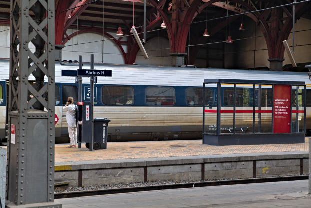 Ein Zug fährt auf einem Bahnsteig ein, auf dem eine Person steht, mit einem Müllcontainer, Pfosten, Informationsplakaten und Deckenleuchten.