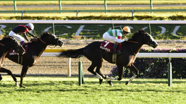 Zwei Jockeys auf Pferden, die eine Rennbahn entlanggaloppieren, umgeben von Grünflächen und einer Absperrung sowie einer Tafel im Hintergrund.