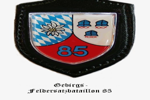 Ein Abzeichen mit der Nummer 85, das die bayerische Fußballmannschaft repräsentiert, mit deutschem Text unten.