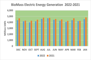 Balkendiagramm, das die Trends der elektrischen Energieerzeugung aus Biomasse von 2021 bis 2022 zeigt, mit begleitendem erklärendem Text.
