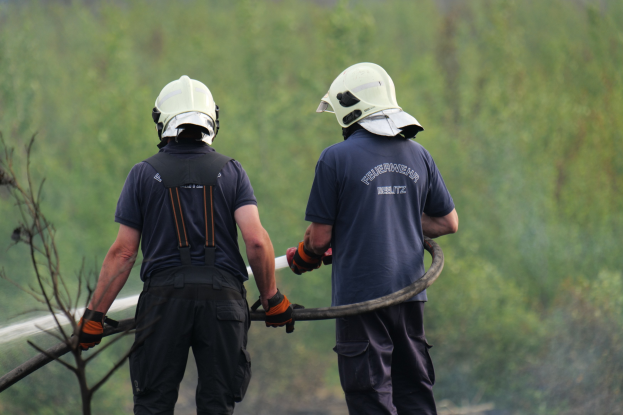 Zwei Feuerwehrleute in Schutzausrüstung sprühen Wasser aus einem Schlauch auf ein Buschfeuer, mit einem Baumast links im Bild.